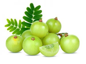 Different uses of Amla