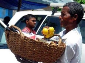 Selling Oranges on the Street Harekala Hajabba