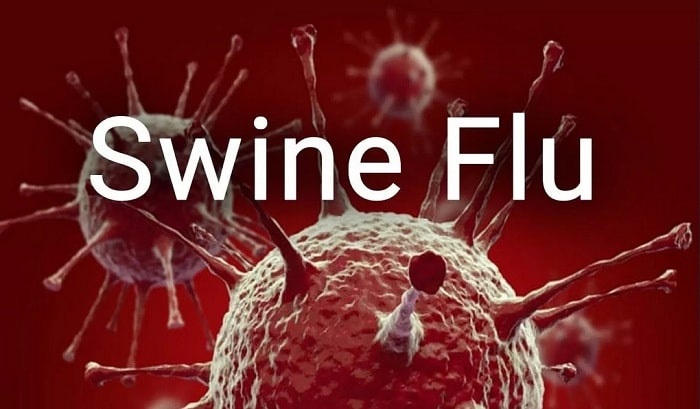 Swine flu