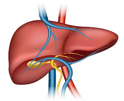 Simple Strategies for Liver Health